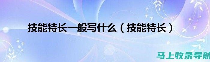 站长必备技能进阶：如何精准获取网站运营关键信息